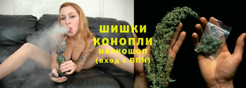 Каннабис OG Kush  Новое Девяткино 